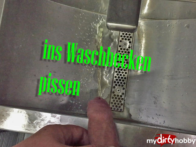 In Das Zug Waschbecken Pissen und Schwanz Waschen