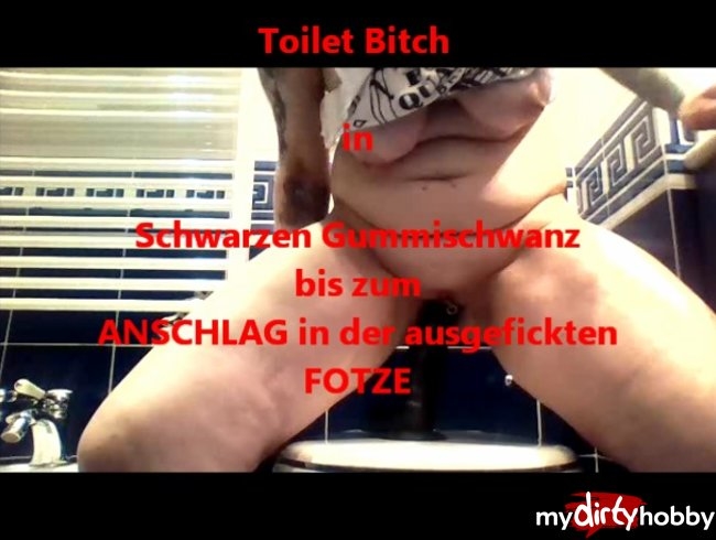 THE TOILET BITCH - ZUM ORGASMUS.........