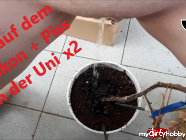 Piss in der Uni (2-Mal) und Piss auf dem Balkon