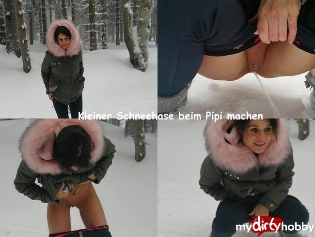 Süsser Schneehase beim Pipi machen