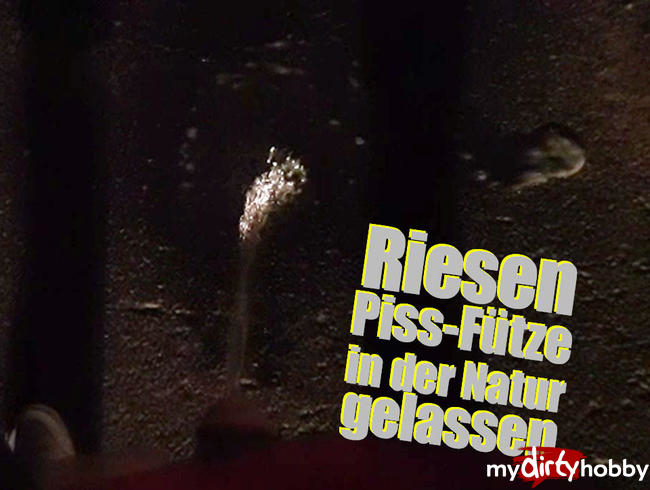 Riesen Piss-Fütze in der Natur gelassen!