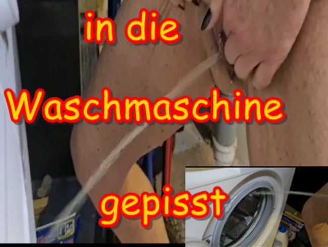 Nachbarin in die Waschmaschine gepisst,